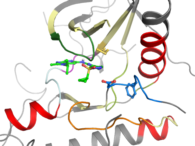 The orthosteric binding pocket
