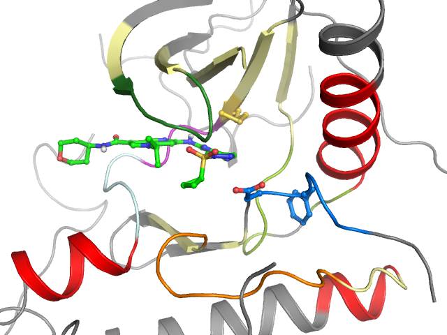 The orthosteric binding pocket