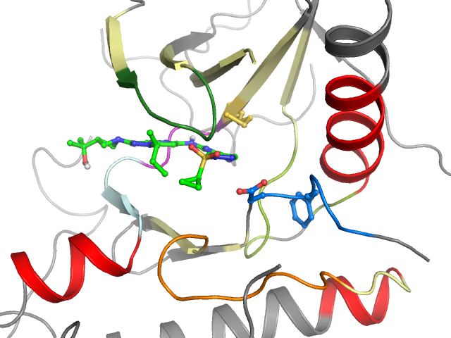 The orthosteric binding pocket