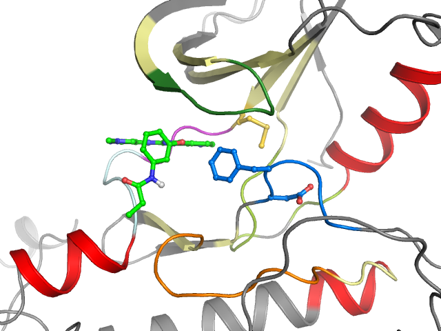 The orthosteric binding pocket