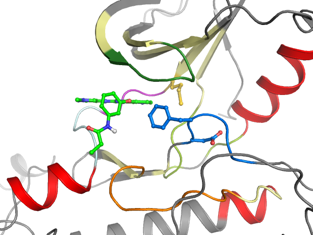 The orthosteric binding pocket