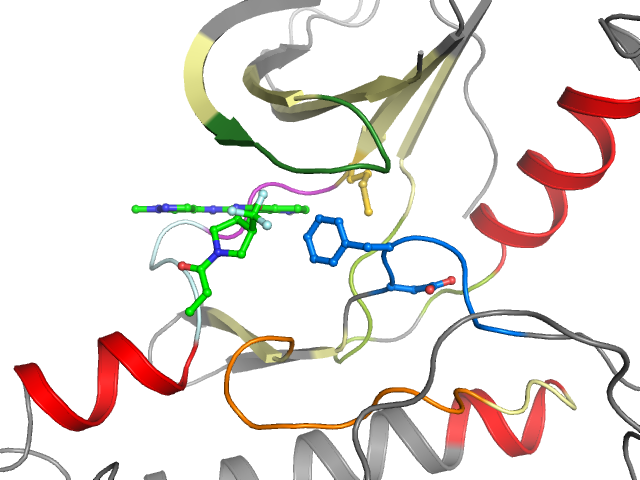 The orthosteric binding pocket
