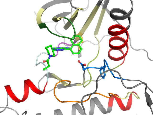 The orthosteric binding pocket