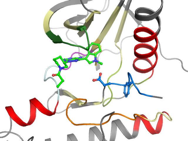 The orthosteric binding pocket