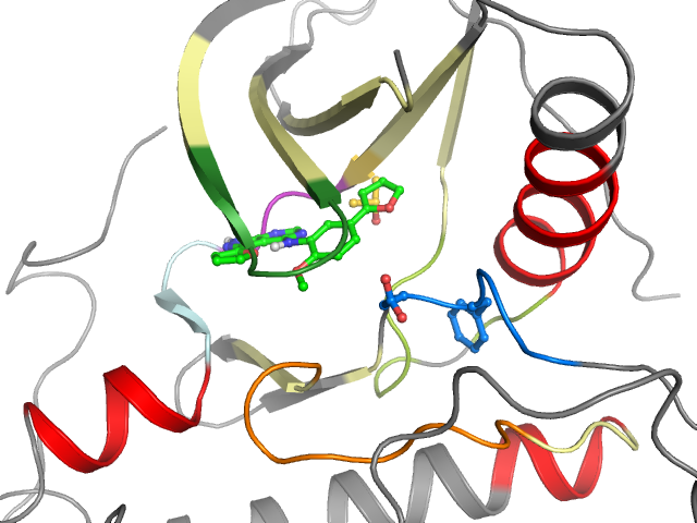 The orthosteric binding pocket