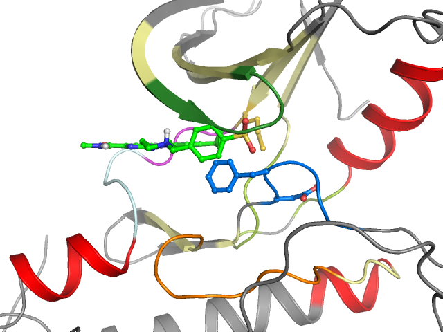 The orthosteric binding pocket
