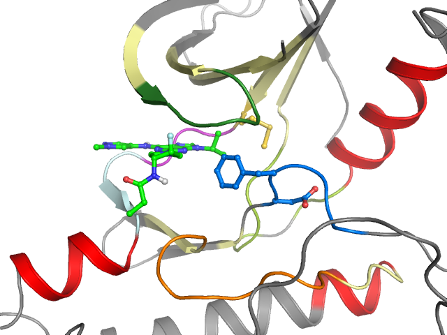 The orthosteric binding pocket