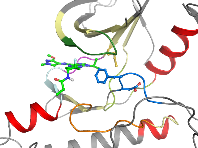 The orthosteric binding pocket