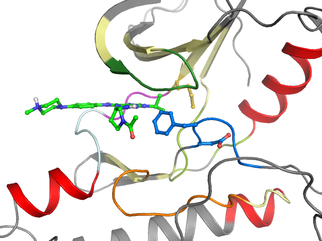 The orthosteric binding pocket