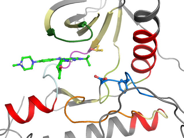 The orthosteric binding pocket