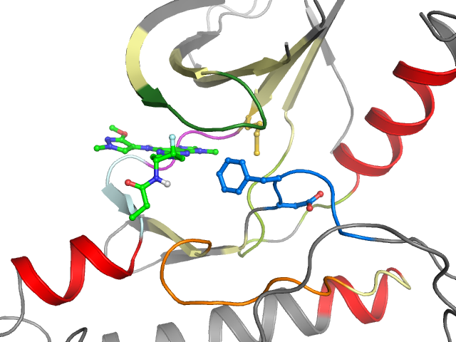 The orthosteric binding pocket