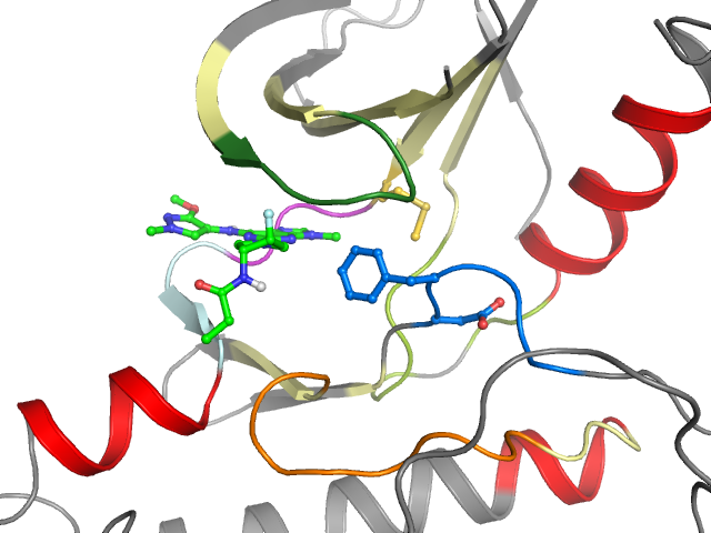 The orthosteric binding pocket