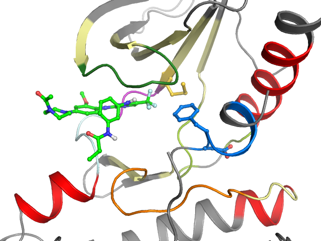 The orthosteric binding pocket