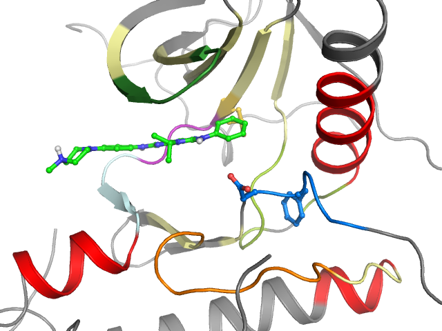 The orthosteric binding pocket