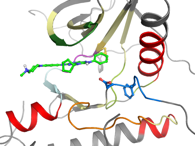 The orthosteric binding pocket