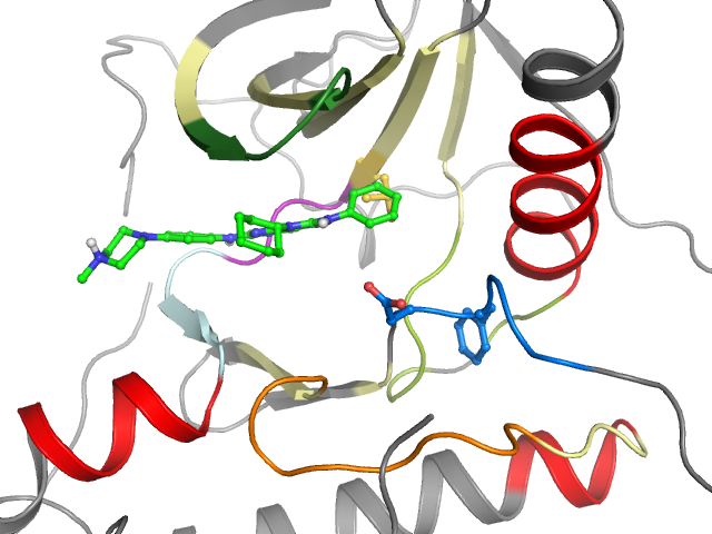 The orthosteric binding pocket