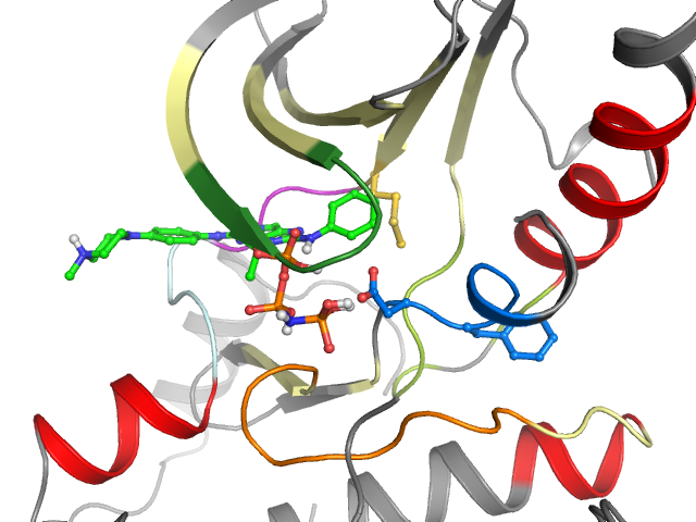 The orthosteric binding pocket