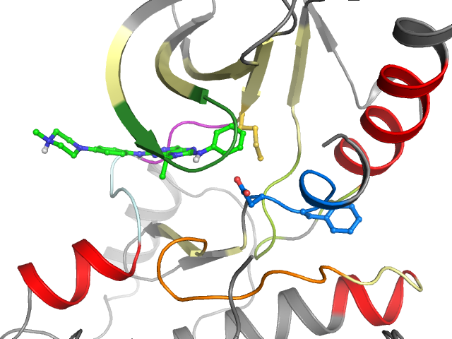 The orthosteric binding pocket