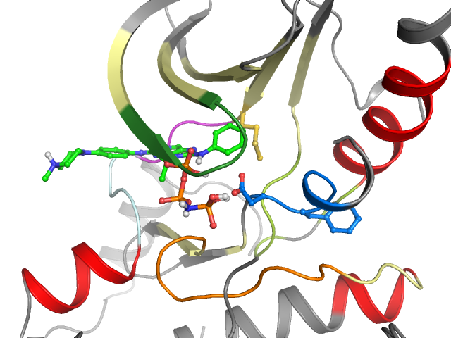 The orthosteric binding pocket