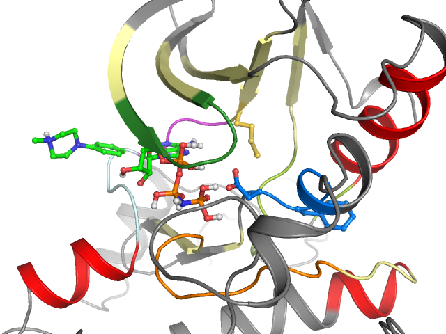 The orthosteric binding pocket