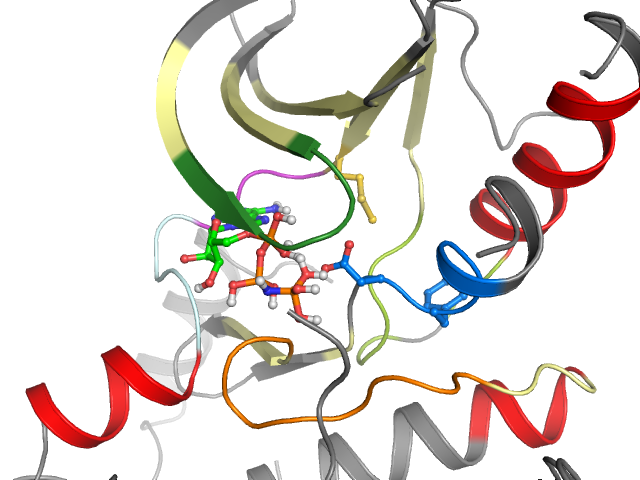 The orthosteric binding pocket