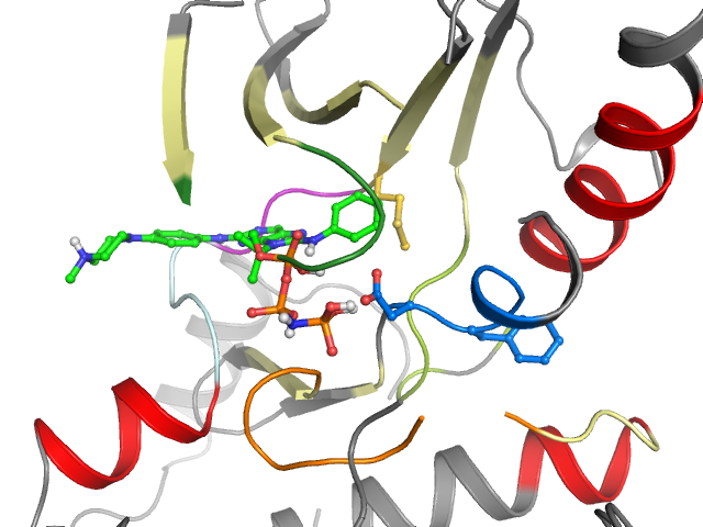 The orthosteric binding pocket