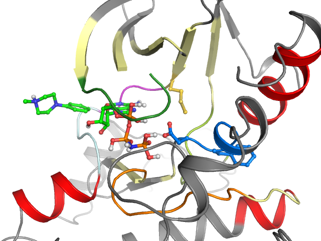 The orthosteric binding pocket