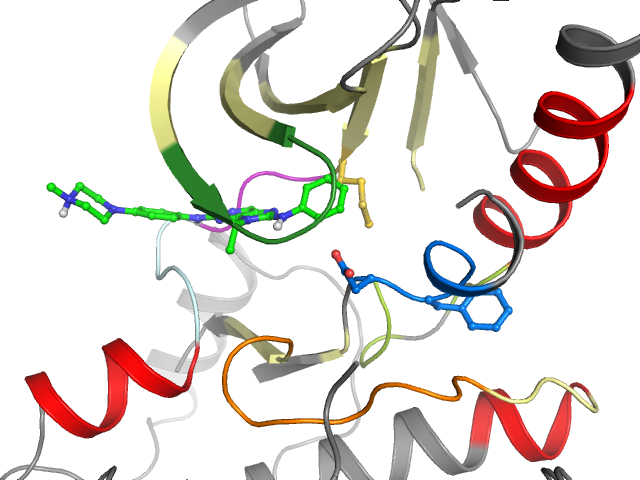 The orthosteric binding pocket