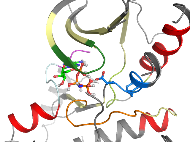 The orthosteric binding pocket