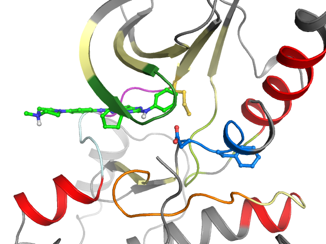The orthosteric binding pocket