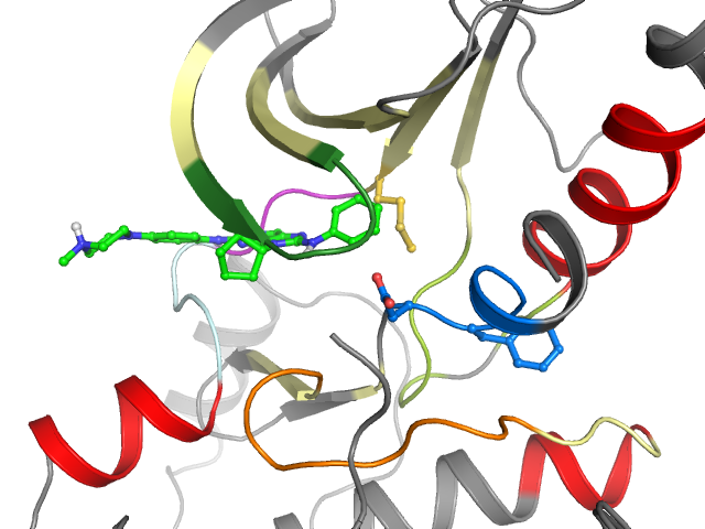 The orthosteric binding pocket