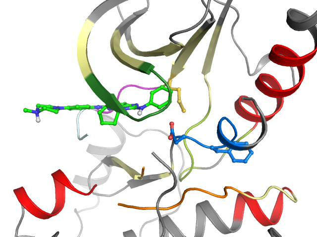 The orthosteric binding pocket