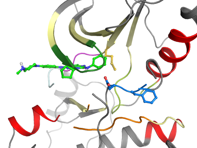The orthosteric binding pocket