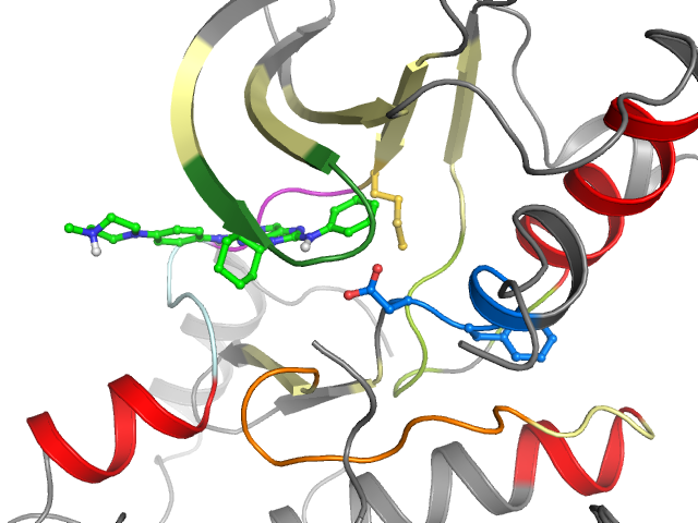 The orthosteric binding pocket