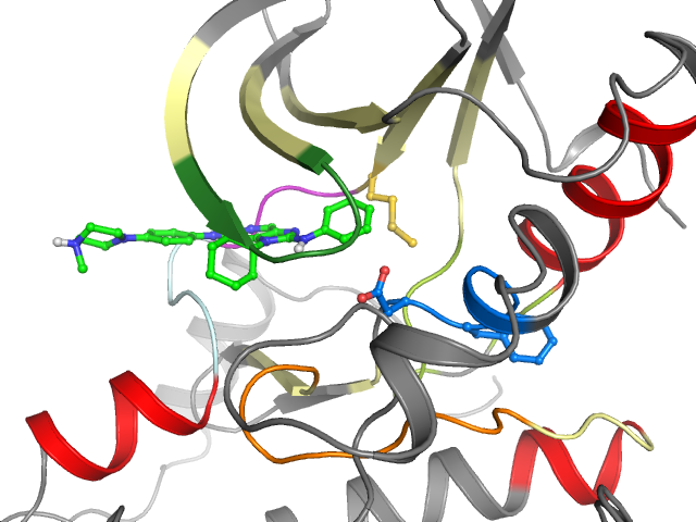 The orthosteric binding pocket