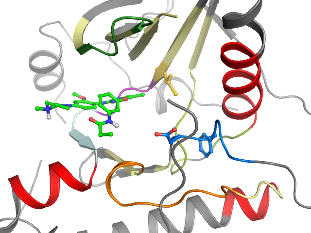 The orthosteric binding pocket