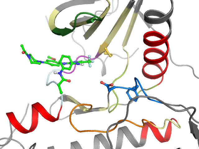 The orthosteric binding pocket