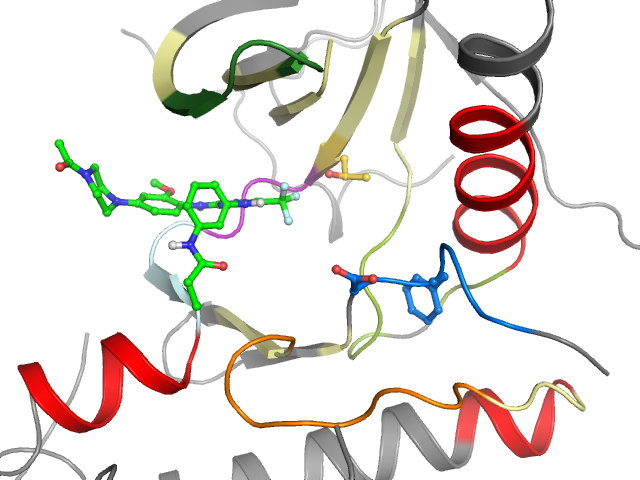 The orthosteric binding pocket