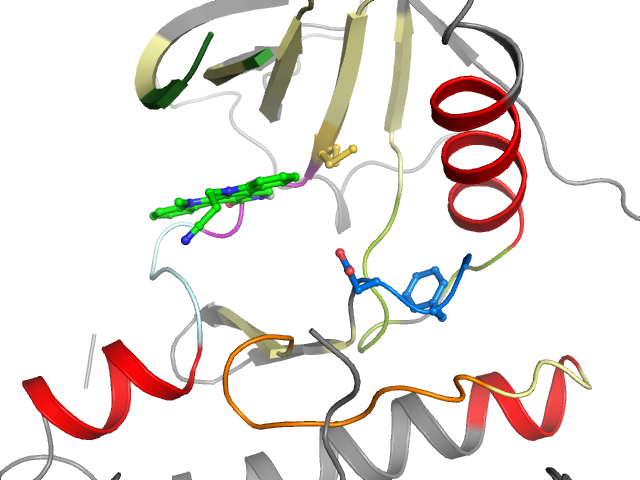 The orthosteric binding pocket