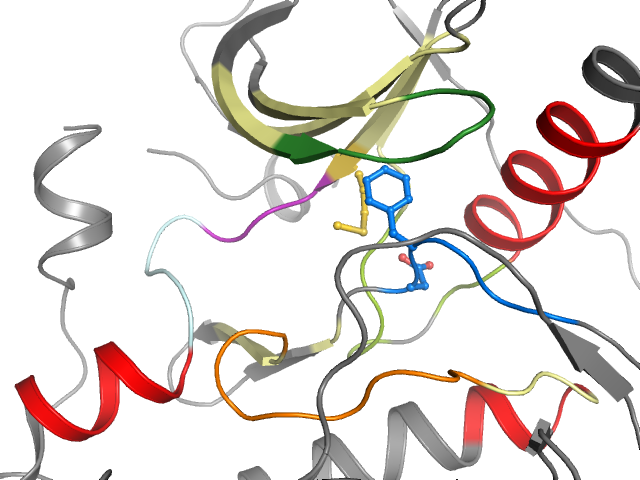 The orthosteric binding pocket