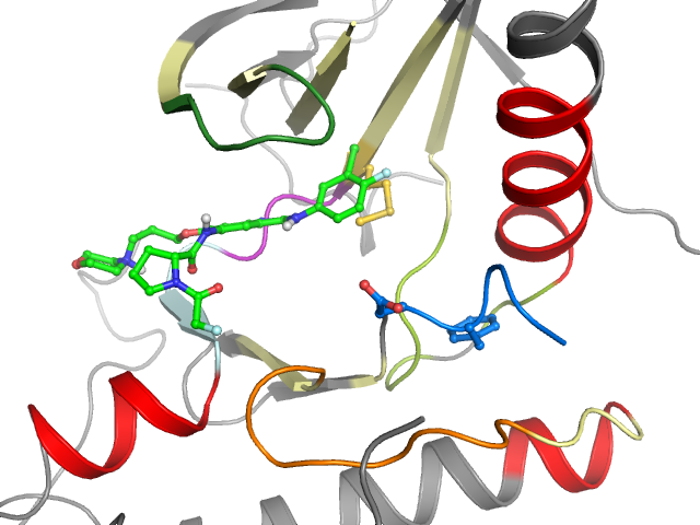 The orthosteric binding pocket