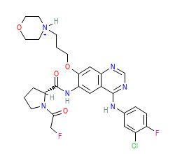 2D structure of the orthosteric ligand