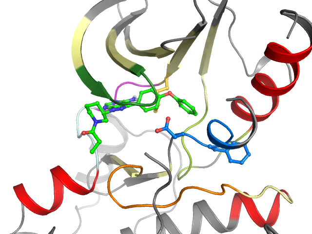 The orthosteric binding pocket