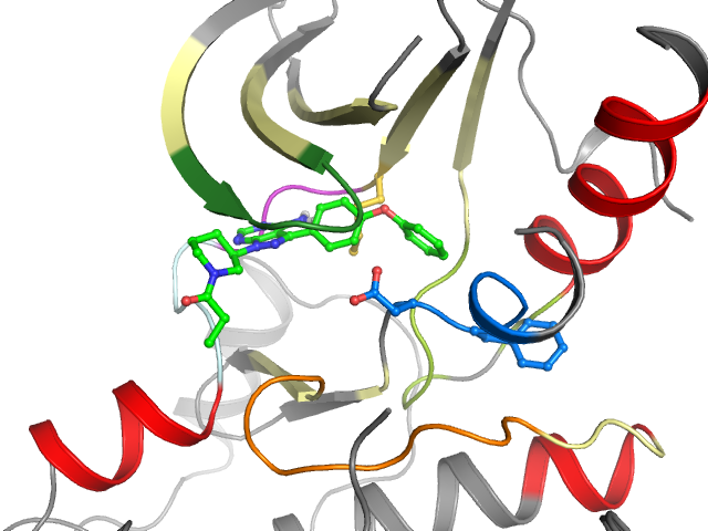 The orthosteric binding pocket