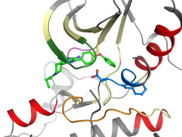 The orthosteric binding pocket
