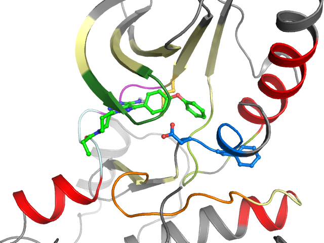 The orthosteric binding pocket