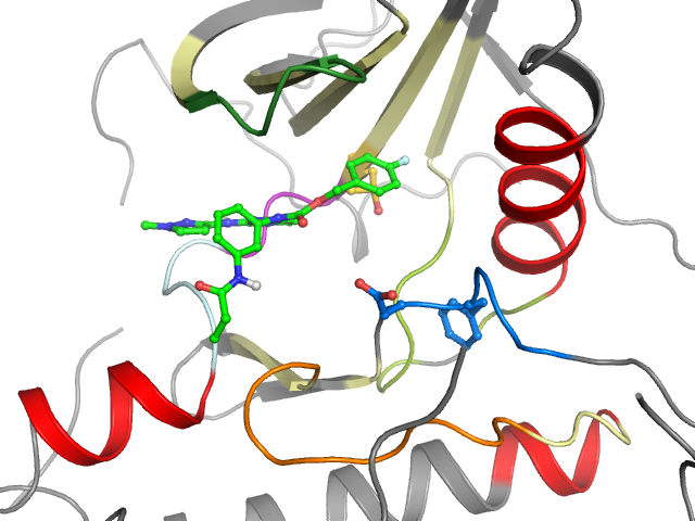 The orthosteric binding pocket