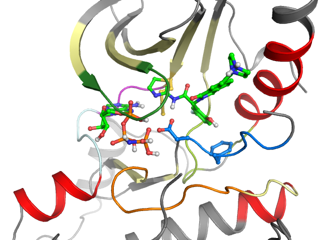 The orthosteric binding pocket