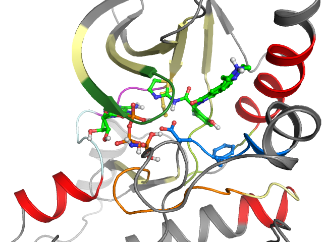 The orthosteric binding pocket