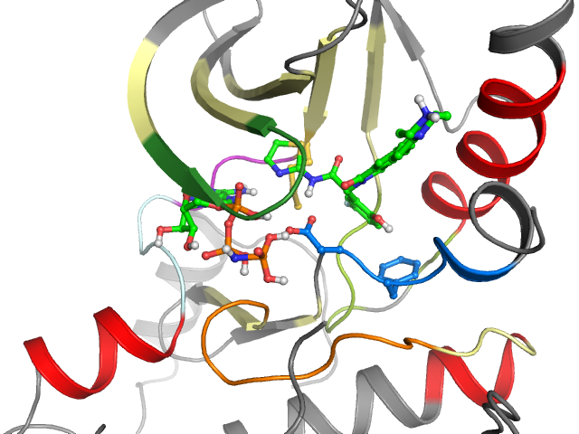The orthosteric binding pocket
